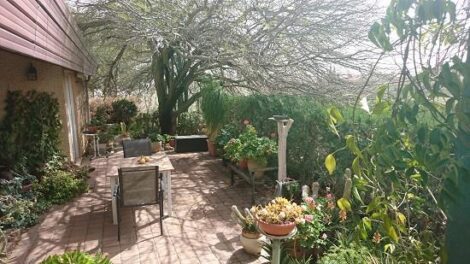 Re-thinking Our Homesteading Strategies Image